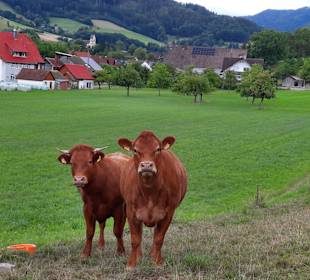 Wandern Simonswald
