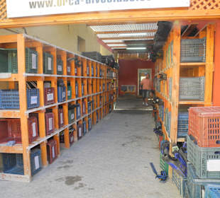 Gefächer für Tauchsachen