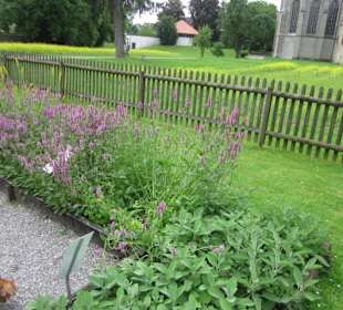 Insel Reichenau Münster Kräutergarten