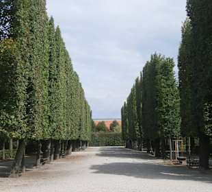 Viele Wege durch den Schlosspark