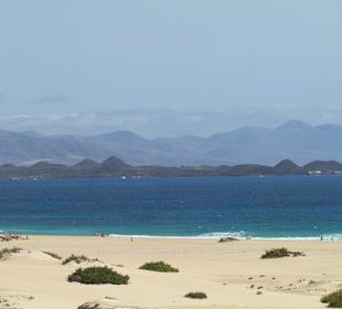 Dünen mit Blick aufs Meer