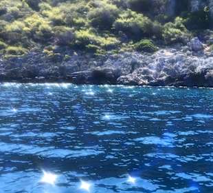 Buchtenfahrten Ausflug