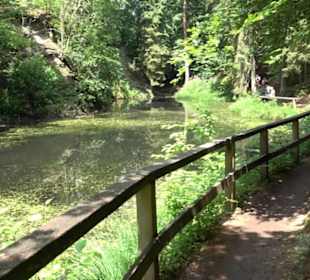 Wanderweg - Alter Steinbruch Pfaffenberg Runde