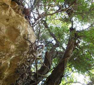 Mili Gorge Impression