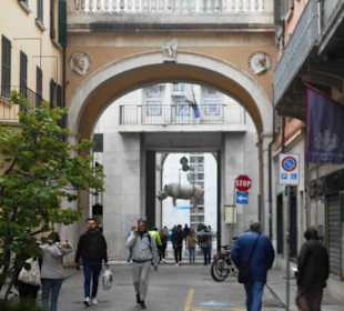 Rinoceronte di Piazza Vittoria