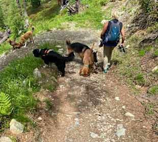 Wandern Ried im Oberinntal