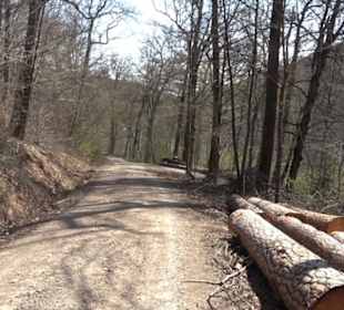Geologischer Lehrpfad Kirnbachtal
