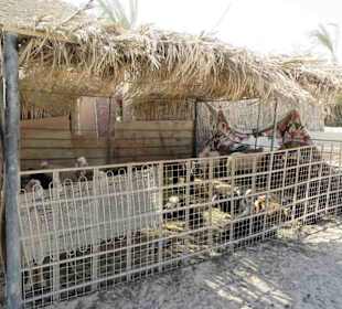 Safari Land Badawya Hurghada