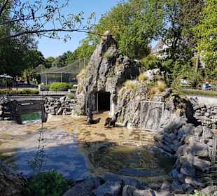 Kölner Zoo 