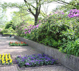 Blumenbeete