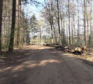 Wanderung Florianrunde