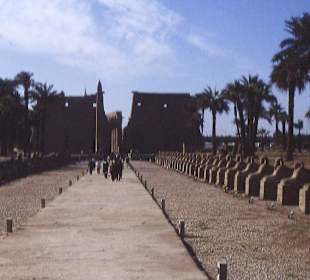 Die Sphinx-Allee zum Luxor-Tempel