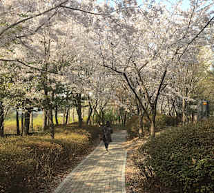 Park in der Nähe des Hotels 