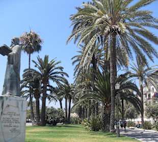 Palma