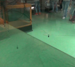 Meeresmuseum Stralsund