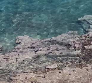 Insel Spinalonga / Kalidonia