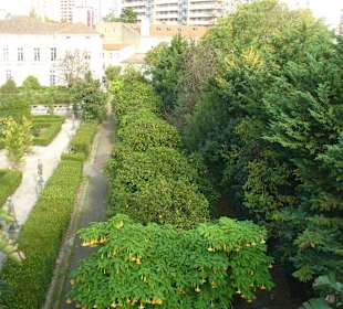 Blick aus der Seilbahn