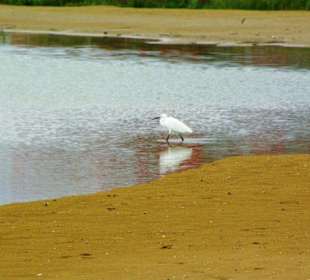 Ende September 2010 Inspirationen