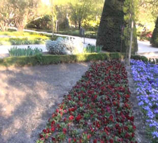 Real Jardín Botánico de Madrid