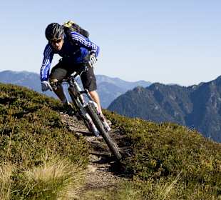 Wandern Reith im Alpbachtal