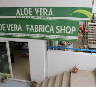 Aloe Vera Infocenter Fuerteventura - Jandia