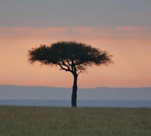 Masai Mara