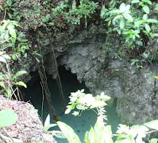 Cenote von oben