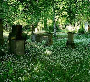 Alter Südlicher Friedhof