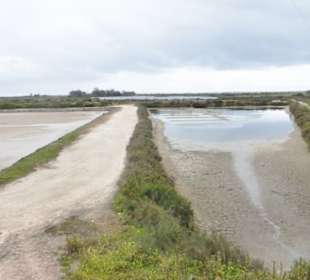 Bei den Salinen von Faro