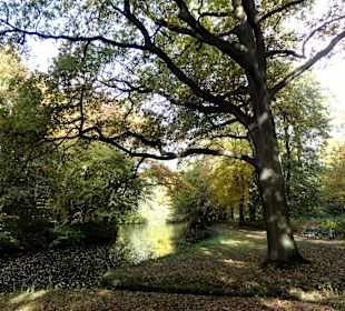 Herbstspaziergang durch den Bürgerpark Bremen