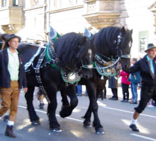 Ammerdorfer Bier 6er Span