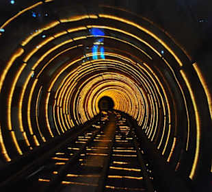 Bund Sightseeing Tunnel