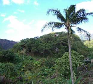 Tao Valley ist ein mystischer Ort