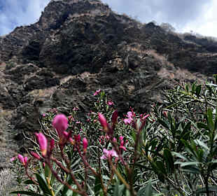 Inselrundfahrt Kreta