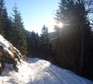 Am Hochlantsch