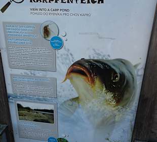 Naturpark Blockheide