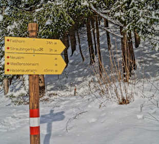Kössen Hagertal - Almwanderung