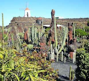 Jardin de cactus