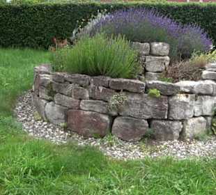 ALB-GOLD Naturgarten