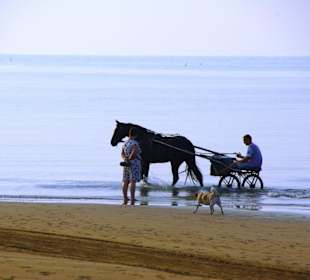 Strand in Bibione Juni 2012