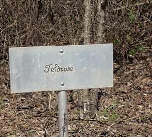 Premiumwanderweg "hochgeblickt"