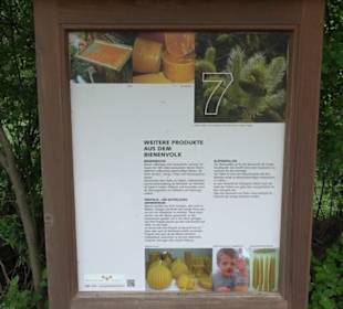 Naturinfopfad Weggental