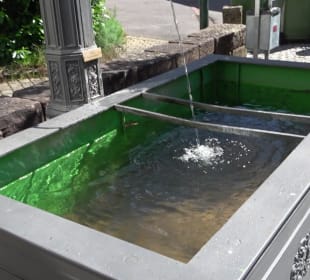 Savoyer Platz Altensteig