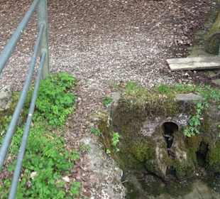 Lichtenstein, Reißenbachquelle