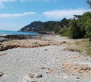 Am Naturstrand