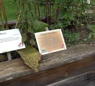 Andechser Kräutergarten