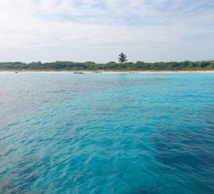 Ausflug Isla Catalina