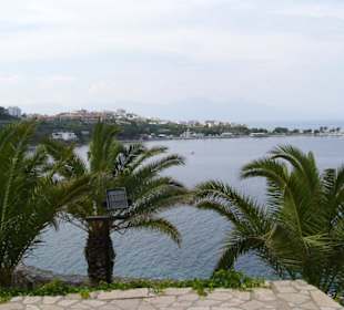 Aussicht von der Vogelinsel