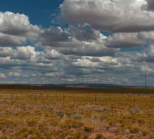 Sulla strada per Saguaro