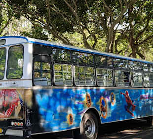 Schöner Bus am Strand 